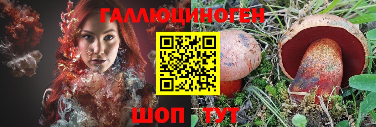 Галлюциногенные грибы Psilocybine cubensis Гагарин