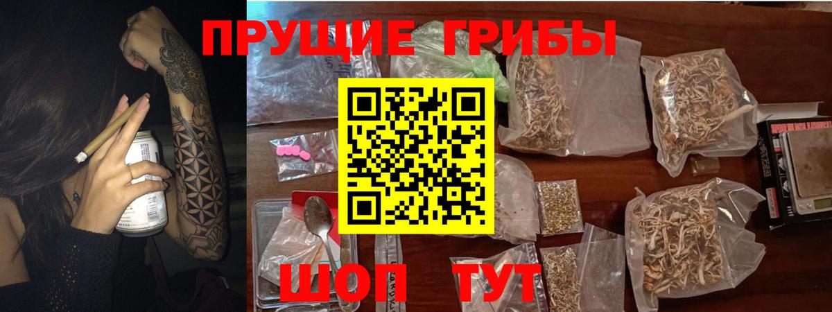 Галлюциногенные грибы MAGIC MUSHROOMS  Вход с VPN  Гагарин  Галлюциногенные грибы прущие грибы 